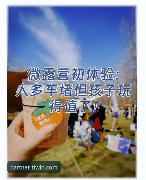 微玩体育平台实用指南：从入口定位到合作接入的全流程评测
